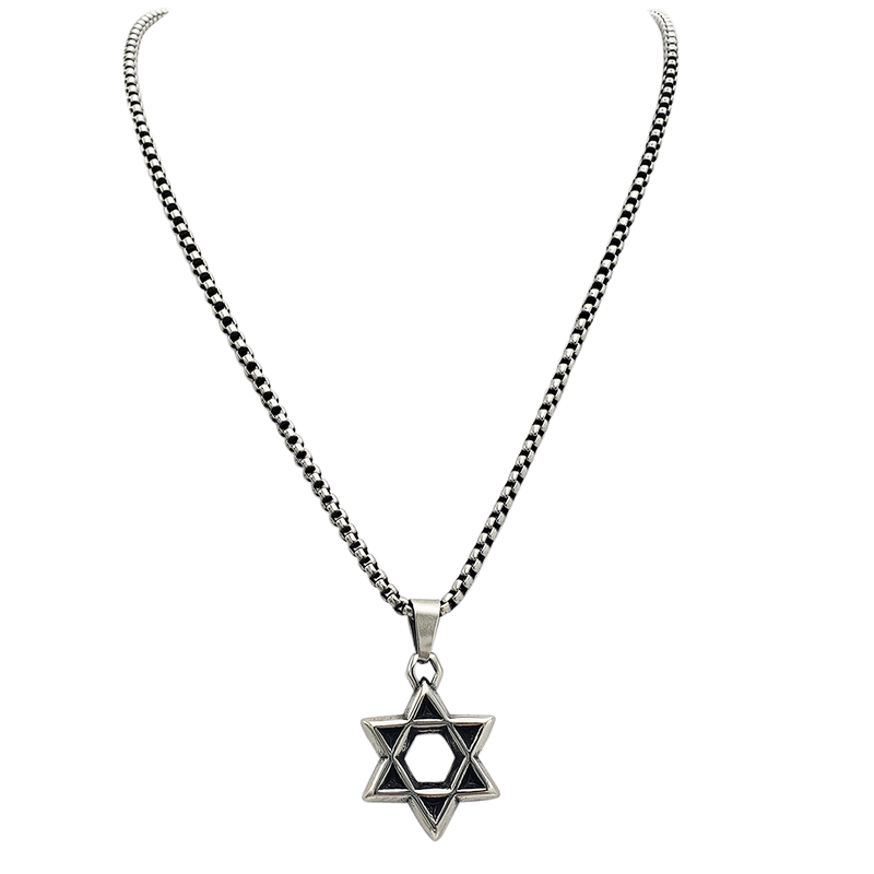 Stainless Steel Men's Star Of David Pendant On Black Shadow Rolo Box Chain Necklace, 22"