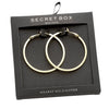 Stylish Classic Hoop Earring With A Hinged Back (14K Gold Dipped)
