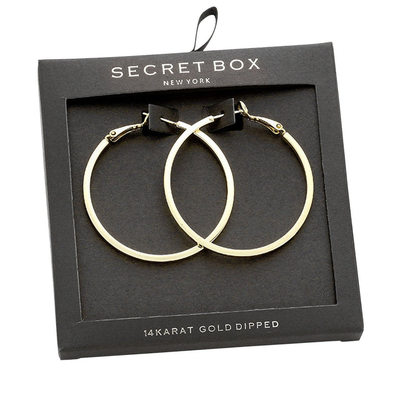 Stylish Classic Hoop Earring With A Hinged Back (14K Gold Dipped)