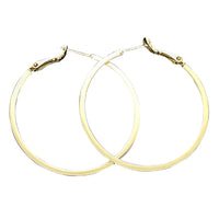 Stylish Classic Hoop Earring With A Hinged Back (14K Gold Dipped)
