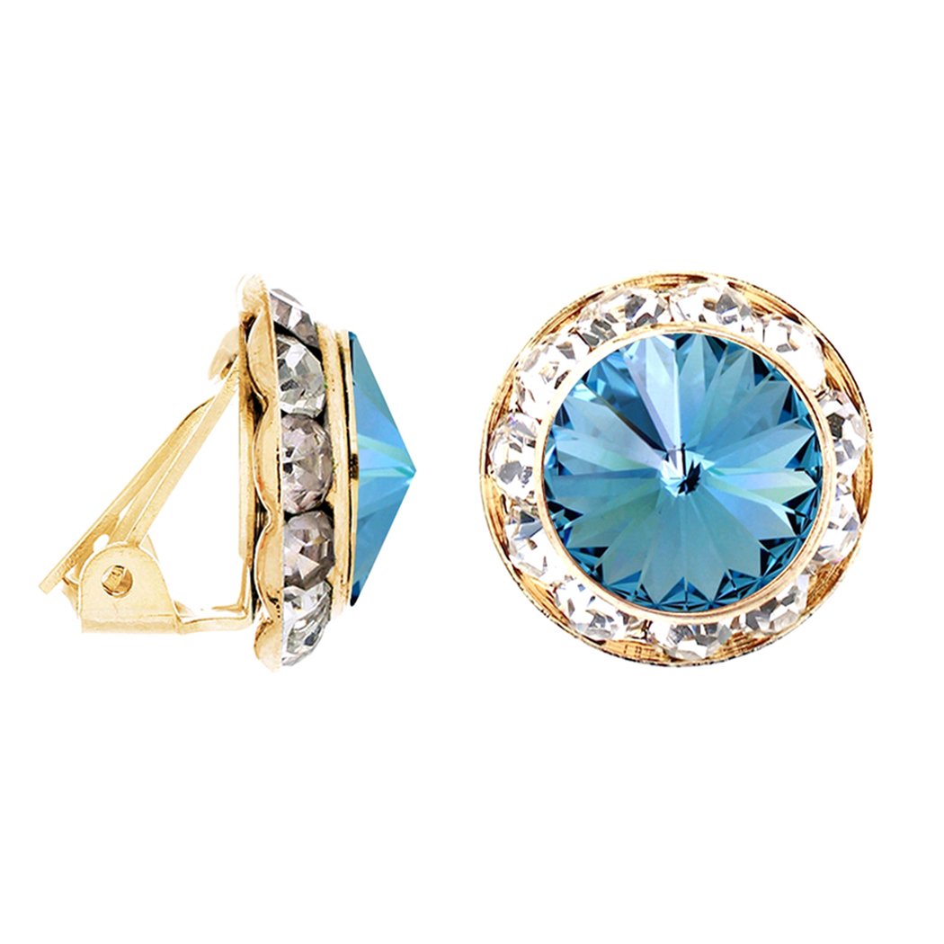 Swarovski classic sales circle earrings