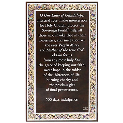 Rosemarie's Religious Gifts Our Lady Of Guadalupe Pray For Us Medal Pendant Necklace 18"