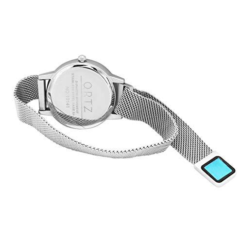 Round Mother Of Pearl Grey Abalone Face Magnetic Italian Style Metal Mesh Band Fashion Wrist Watch (Silver Tone)