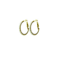 Hypo-allergenic Crystal Hoop Earrings (Gold, 20)