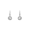 Rhinestone and Crystal Vintage Style Drop Earrings (Crystal Silver)